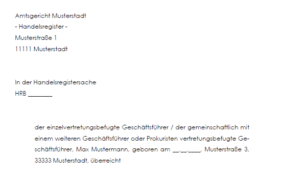 Einblick in die Anmeldung der Amtsniederlegung zum Handelsregister.