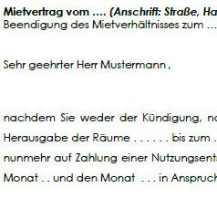 Der Vermieter fordert den Mieter zur Zahlung eines Nutzungsentgelts auf, nachdem letzterer die Wohnung nicht fristgemäß geräumt hat. 