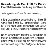 Von Personalprofis erstellte Vorlagen für Ihre Bewerbung als 