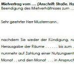 Der Vermieter fordert den Mieter zur Zahlung eines Nutzungsentgelts auf, nachdem letzterer die Wohnung nicht fristgemäß geräumt hat. 