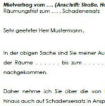 Der Vermieter verlangt vom Mieter wegen nicht erfolgter Räumung Schadensersatz.