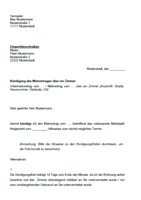 Kratzer am Auto-Grund für fristlose Kündigung? (Recht, mietvertrag  kündigen, stellplatzmiete)