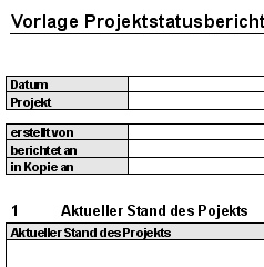 Projektstatusbericht Zwischenbericht Sofort Download