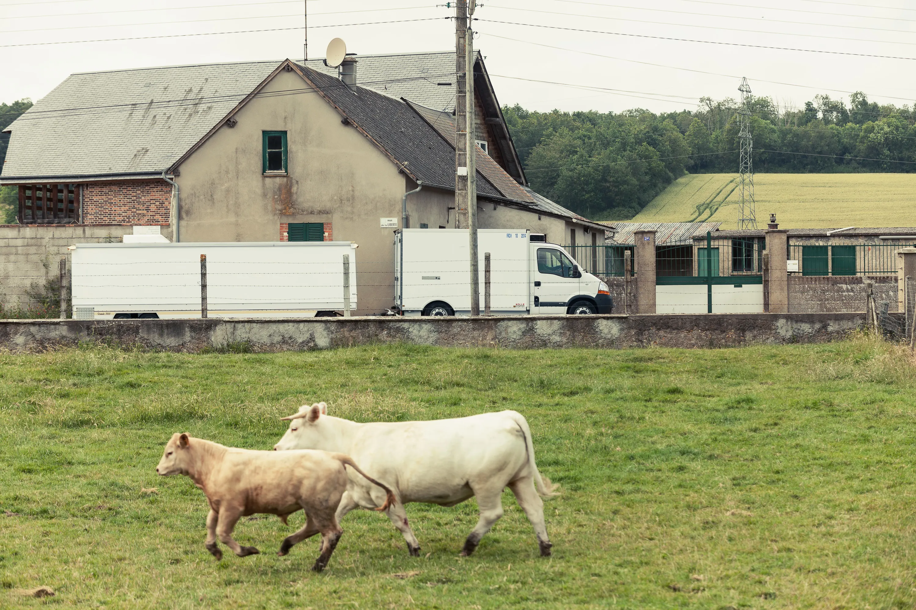 Mitarbeiter der Entwlickling in Aktion, fotografiert im Arbeitsumfeld vor Ort. Fotografie für Unternehmen, aus Karlsruhe