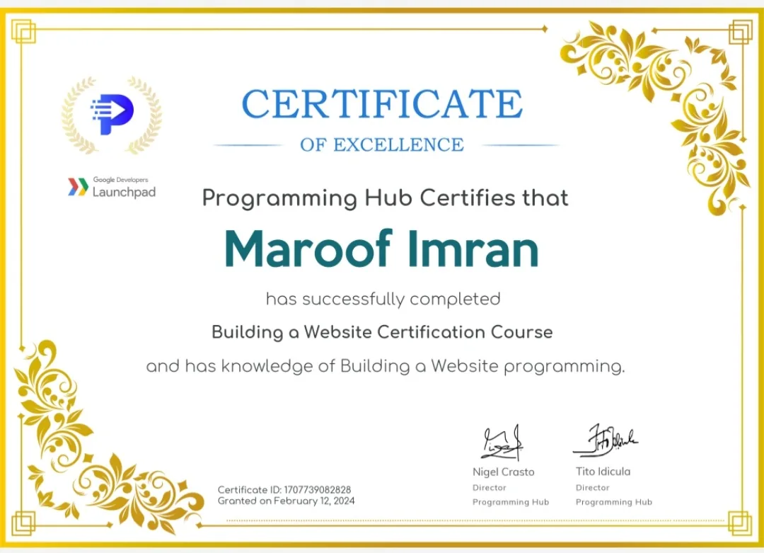 Building a Website Certification Course Programming Hub