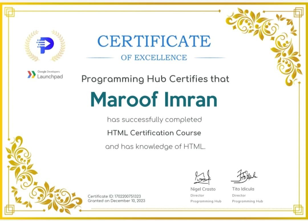 HTML Certification Course Programming Hub