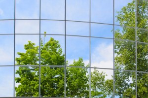 Trees reflected in a mirrored building