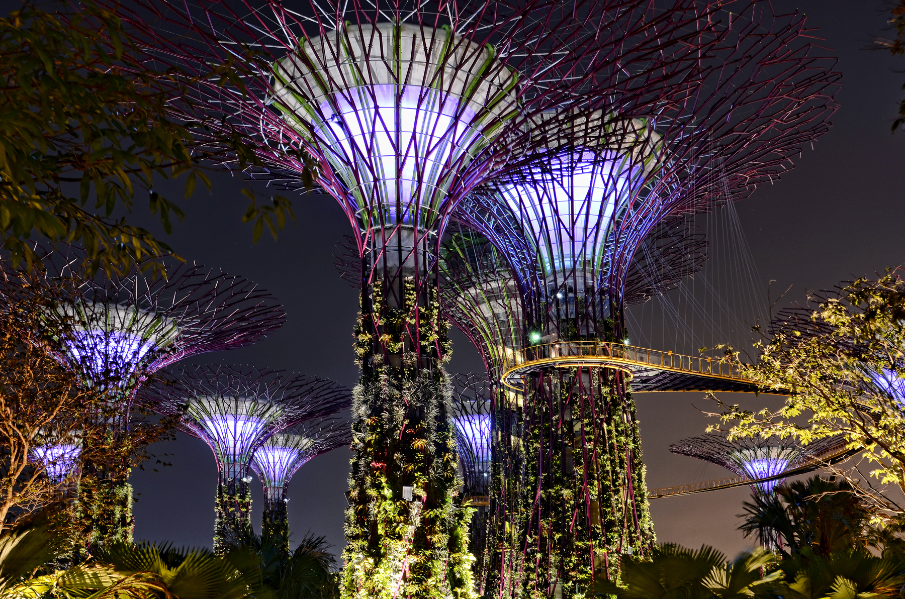 Supertrees at Gardens by the Bay in Singapore