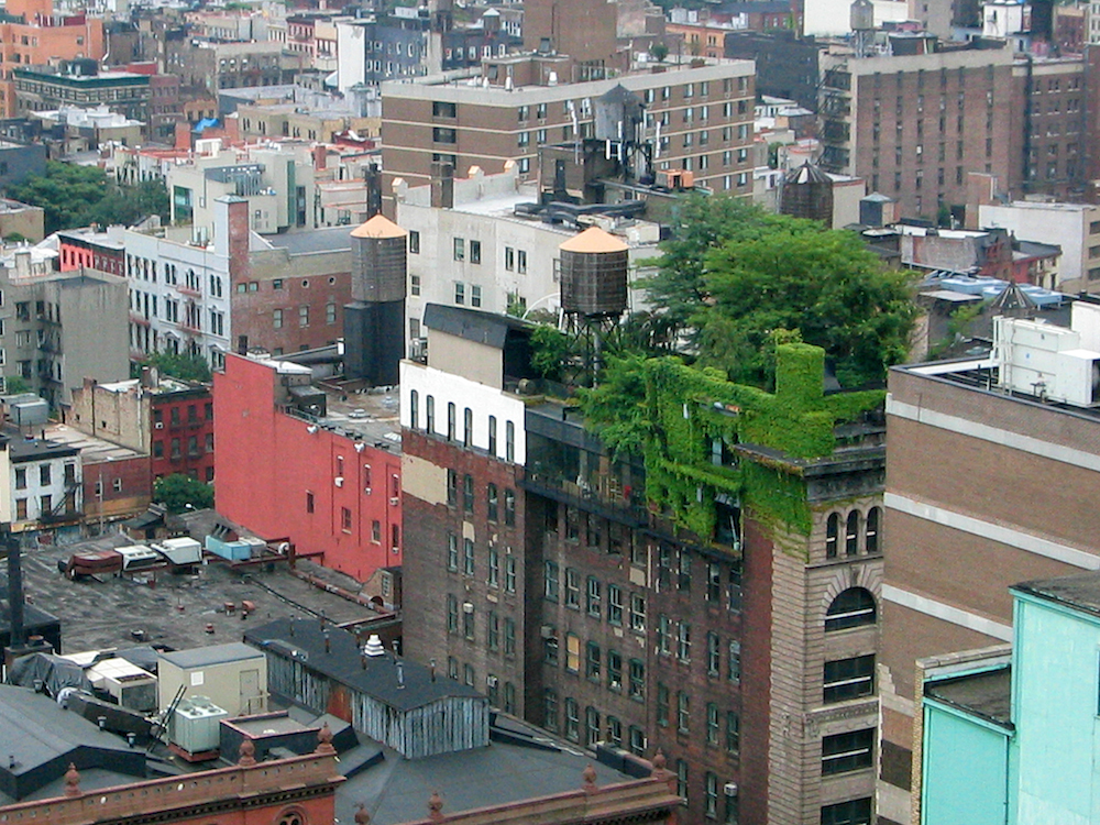 New York intensive roof garden