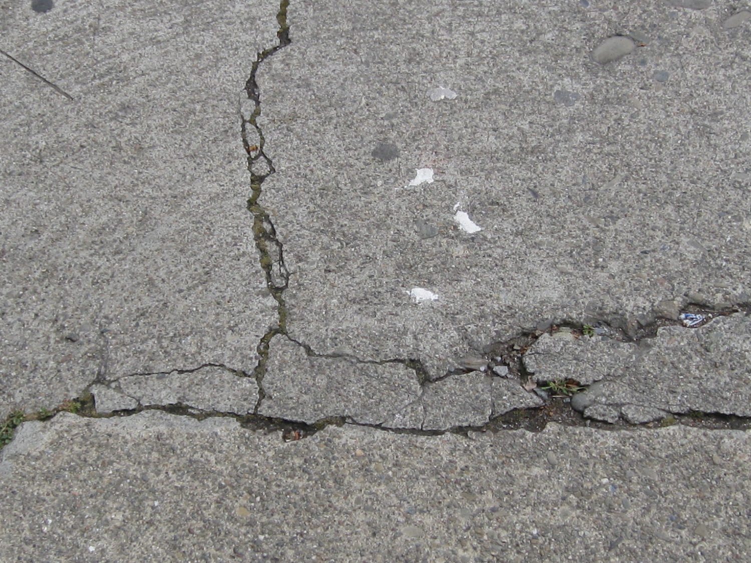 cracked concrete