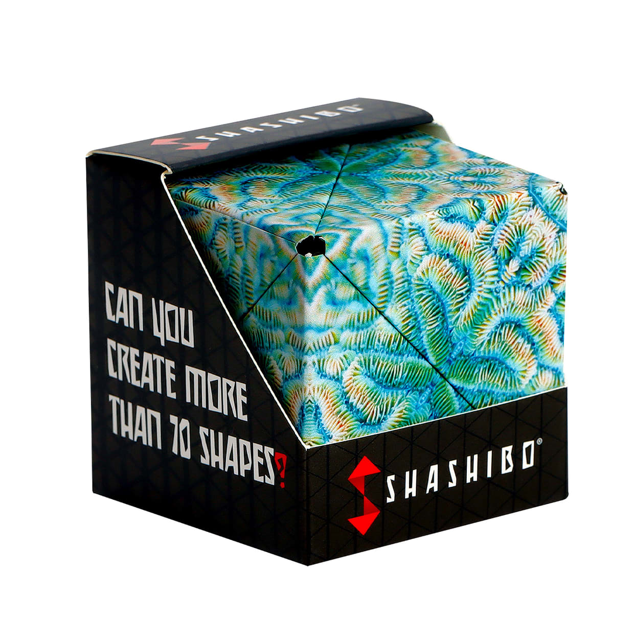 Shashibo Puzzle Cube Earth