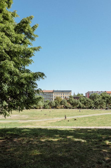 View of a park in Berlin