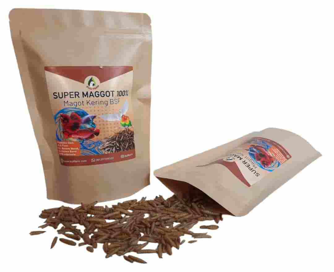 jual Super Maggot