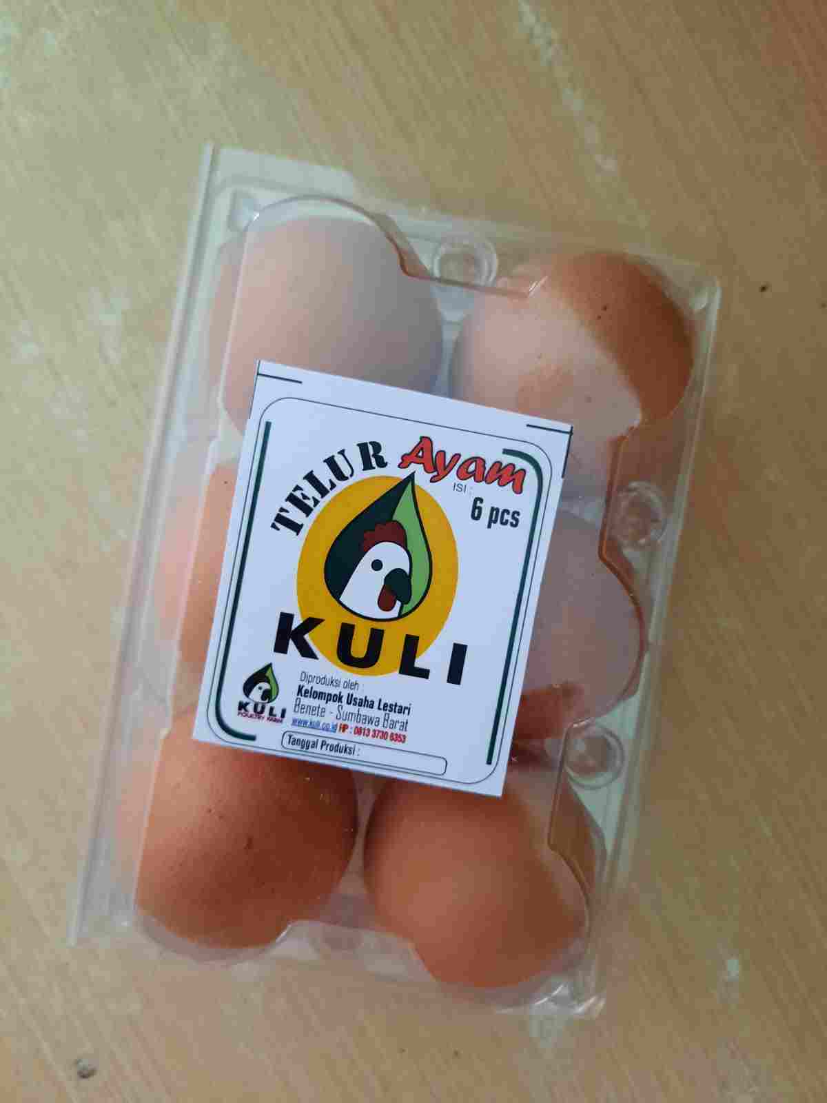 jual Telur Ayam Negeri