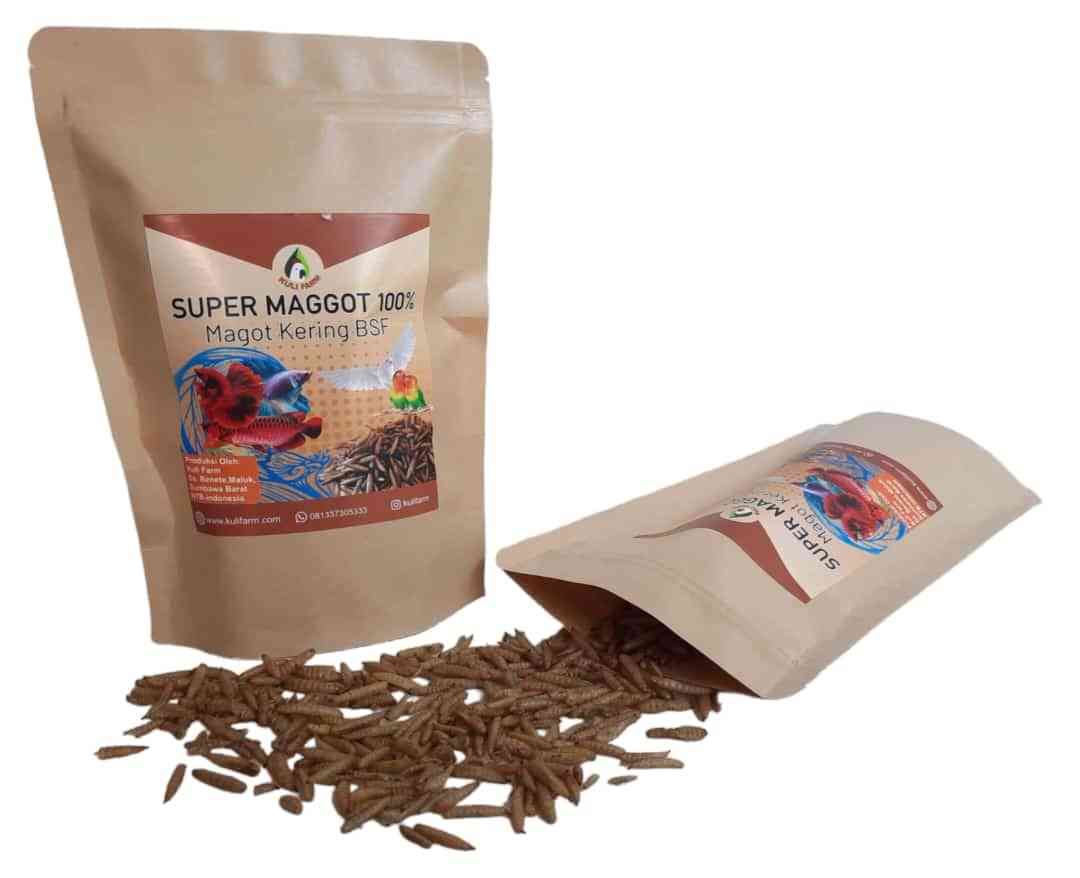 Super Maggot