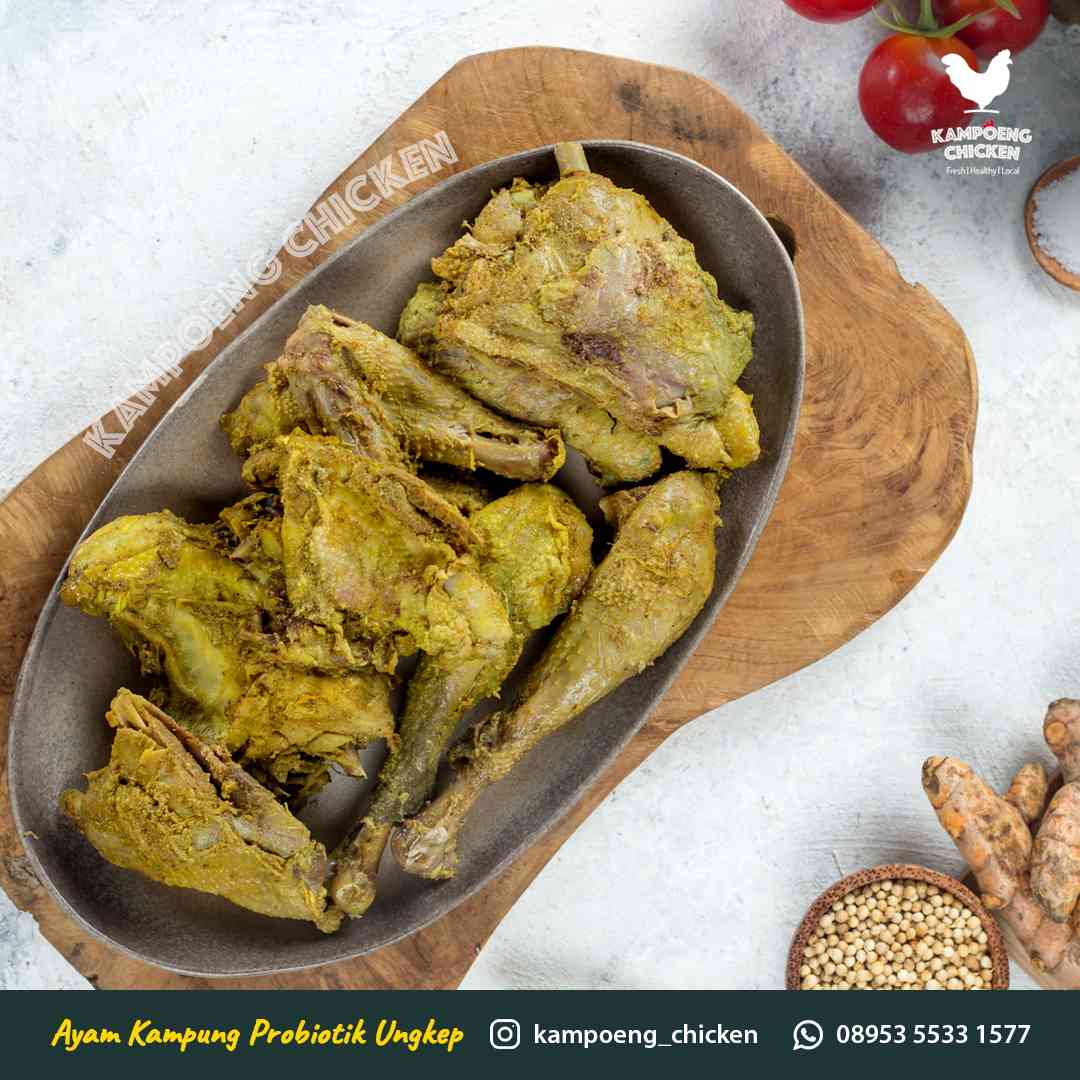 Ayam Kampung Probiotik Halal Ungkep