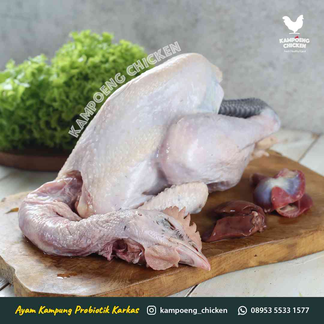 Ayam Kampung Probiotik Halal Mentah Utuh