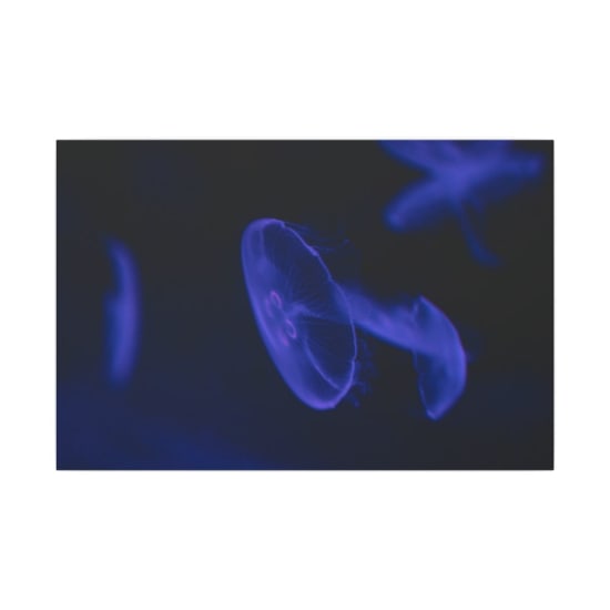 A mesmerizing close-up of luminescent jellyfish swimming in dark waters.