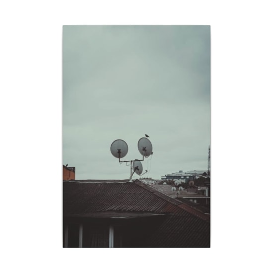 A solitary bird perches on satellite dishes atop a city rooftop under a cloudy sky.