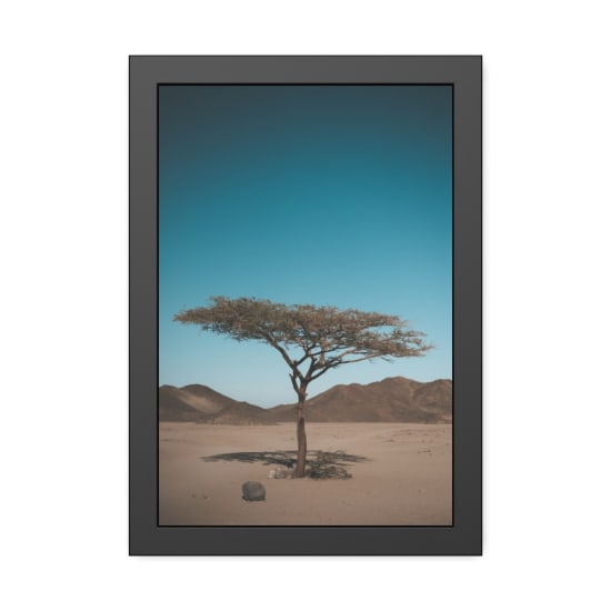 A solitary tree stands in a vast arid desert, emphasizing nature's endurance.