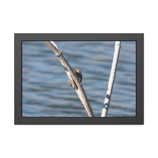 A sparrow perched on a branch beside a serene lake, showcasing nature's tranquility.