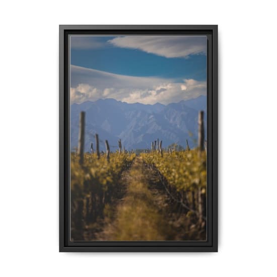 Vibrant vineyard rows stretching into distant mountains under a bright blue sky.