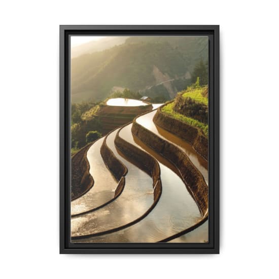 Golden sunlight illuminates the stunning rice terraces in a tranquil mountain setting.