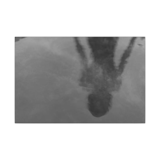 Mysterious black and white silhouette reflection on water surface.