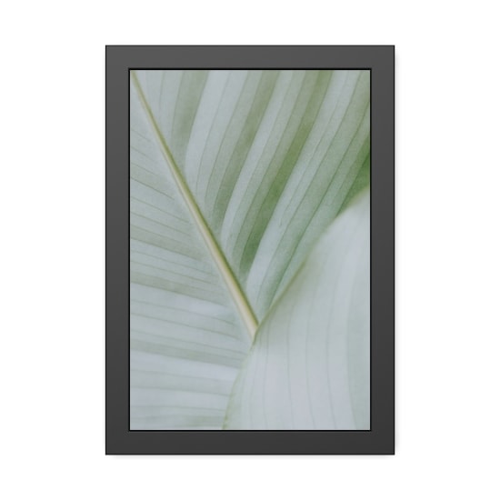 A detailed close-up of a green tropical leaf showcasing its natural texture and delicate lines.