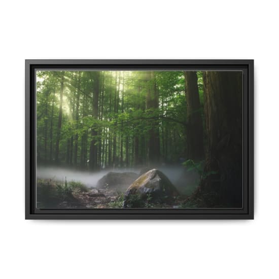 Sun rays filtering through a foggy forest in Dongcheng Qu, Beijing, creating a magical scene.