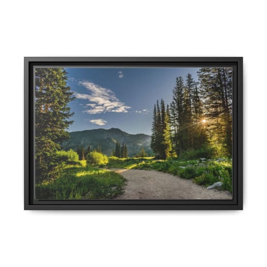 A scenic view of a sunlit pathway through a lush forest near Salt Lake City, Utah.