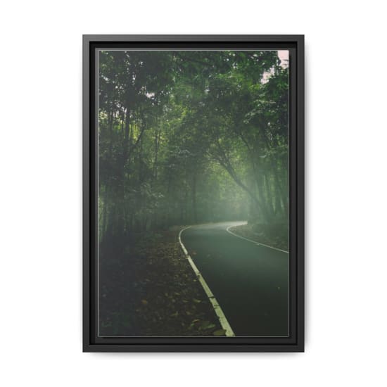 Winding road through a misty forest in Kerala, India, surrounded by lush greenery.