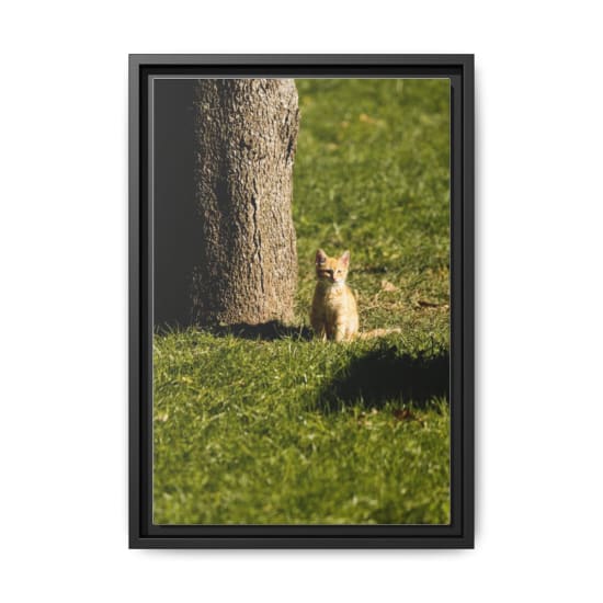 Cute orange kitten sitting by a tree in a sunny park scene.