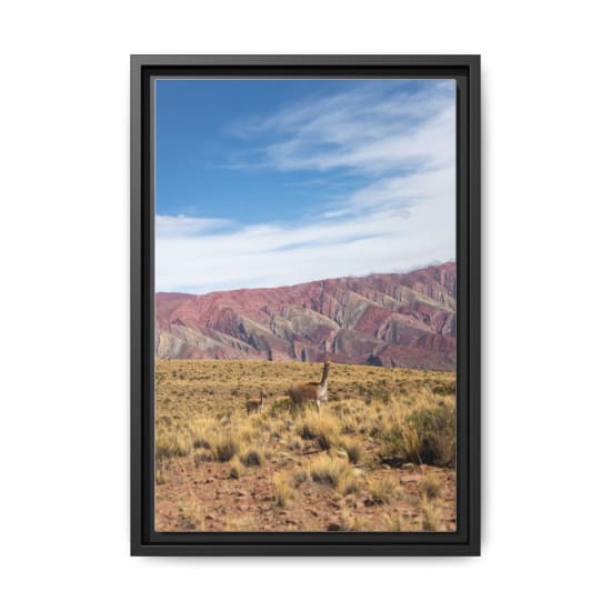 Scenic view of guanacos with the stunningly colorful hills of Humahuaca, Argentina in the background.