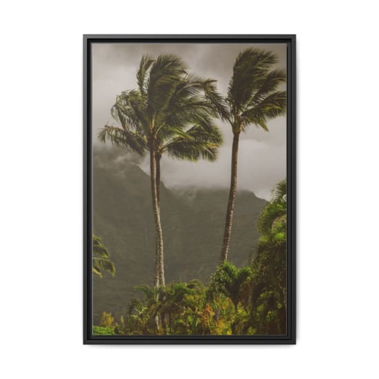 A dramatic tropical scene featuring palm trees against misty mountains and an overcast sky.