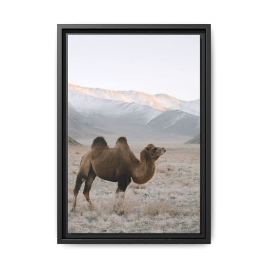 A Bactrian camel stands in a vast snowy Mongolian landscape with mountains in the background.