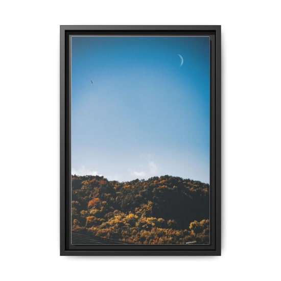 Scenic view of autumn trees under a blue sky with a crescent moon in Conwy, Wales.
