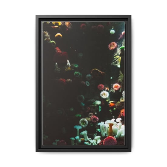 Colorful corals and marine life create a stunning underwater scene.