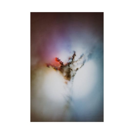 Artistic abstract image with vivid colors and organic shapes evoking nature.