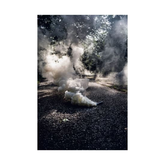 Ethereal smoke forming over a shaded forest pathway, creating a surreal atmosphere.