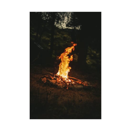 A warm campfire illuminating the night forest, perfect for camping adventures.