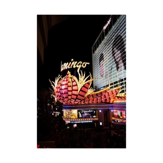 Bright neon lights of the Flamingo Hotel casino at night in Las Vegas.