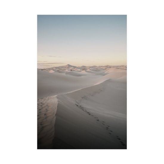 Tranquil desert landscape of Samalayuca Dunes, Mexico during sunset with soft sand patterns.