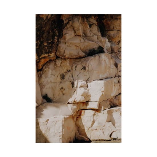 Detailed close-up of a textured rock face showing natural erosion and cracks.