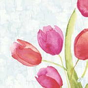 Serv. Dunisoft Bio 40cm Painted tulips