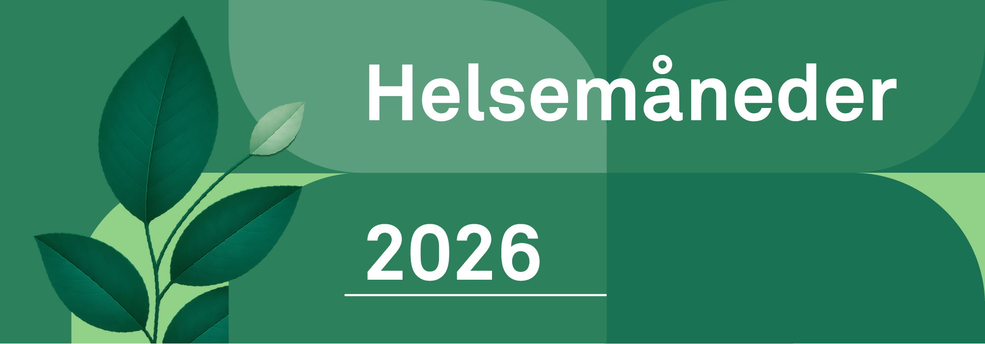 HELSE MÅNEDER