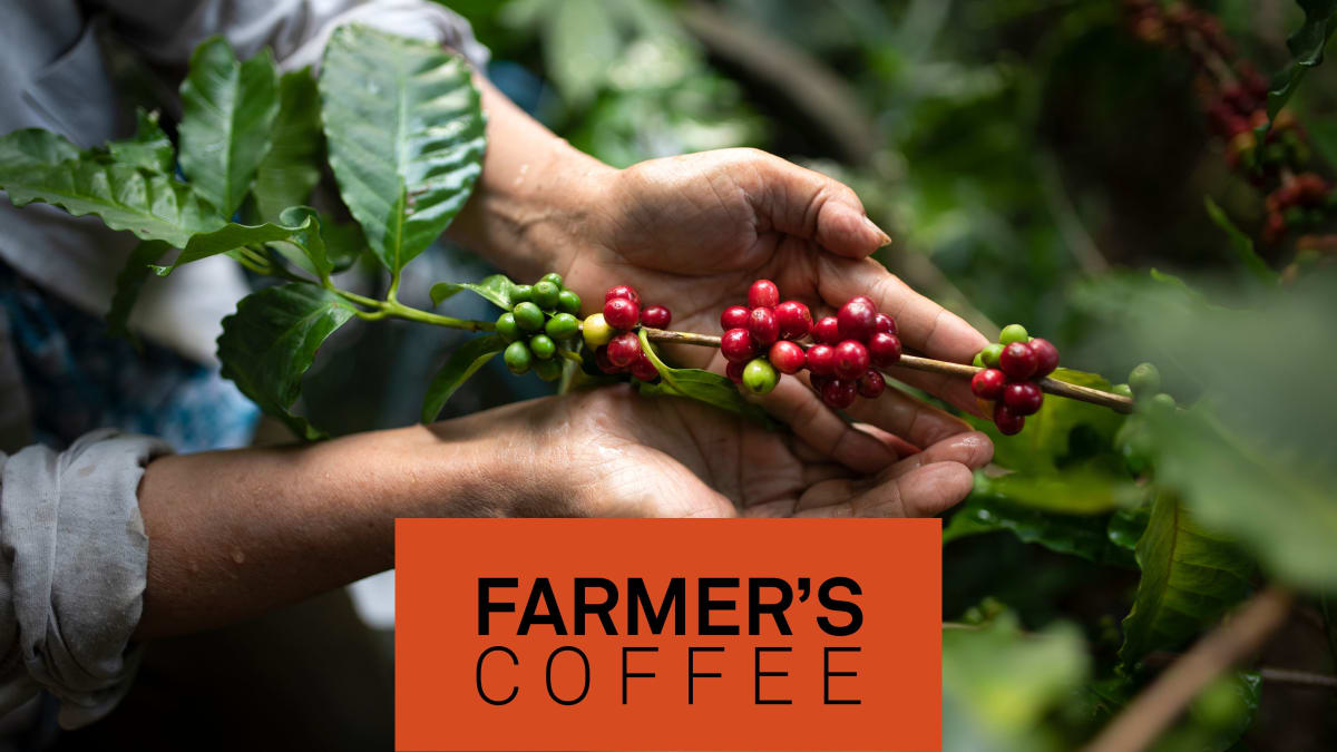 En Fairtrade-sertifisert kvalitetskaffe med god fylde og fin syrlighet.