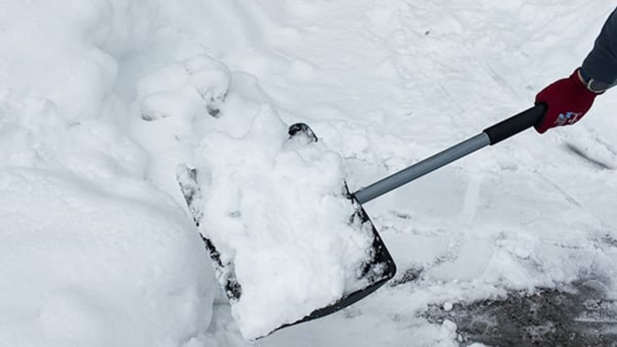 Hageredskaper - Vi har det du trenger til hagearbeidet