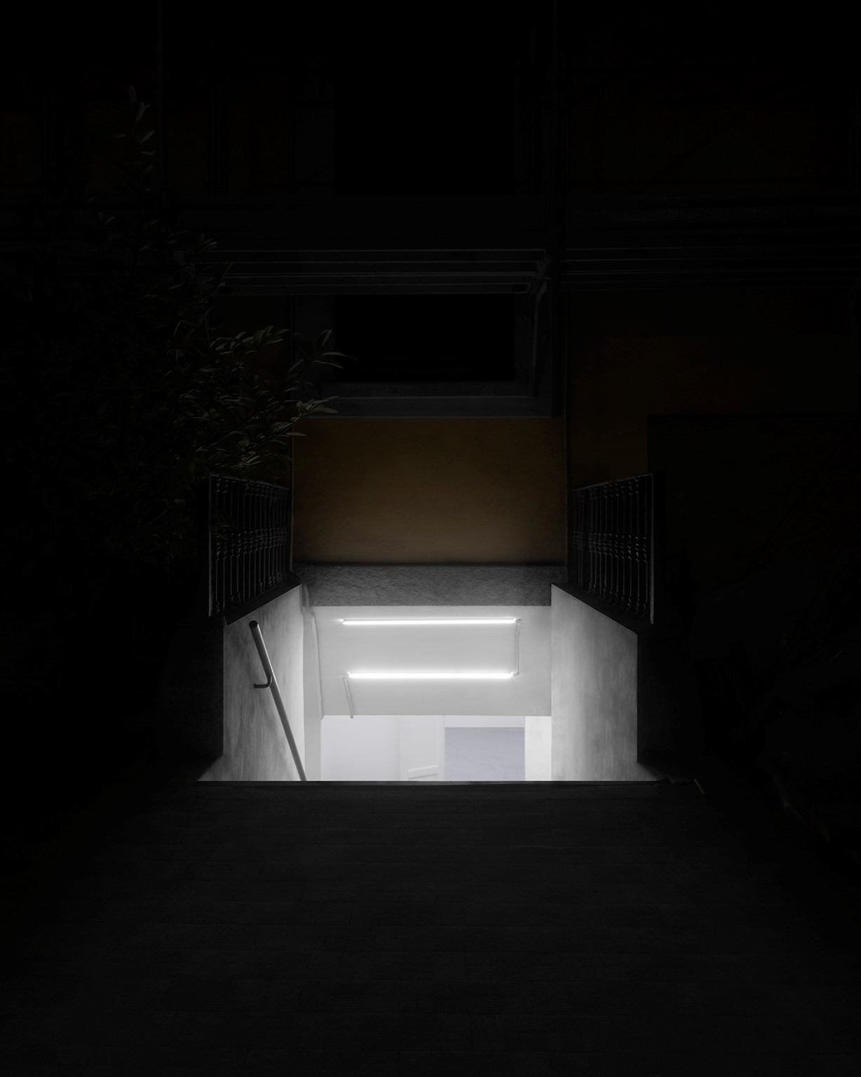 Lorem ipsum massimo dolor