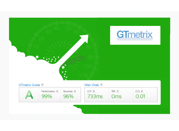 Gtmetrix Performance